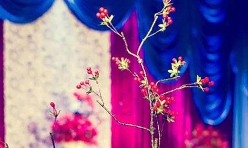 男白羊座二區和女雙魚座三區配對