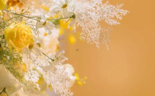 處女座女生和雙子座男生做夫妻好不好