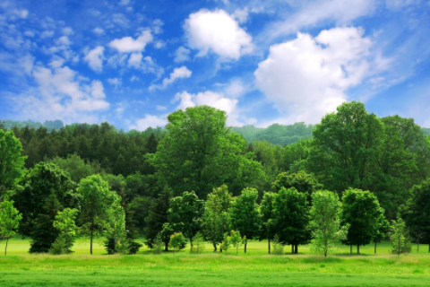 雙子座和天蝎座配嗎 雙子和天蝎適合做朋友嗎