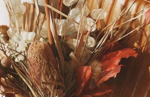 星座愛情匹配指數 星座愛情匹配指數