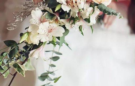 星座怎么看升 星座怎么看升