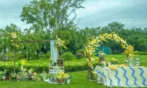 天蝎座和金牛座的緣分配對