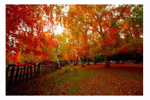 流年神煞是什么意思?流年神煞披麻是什么意思