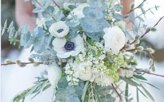 命中注定是明星的星座 命中注定是明星的星座