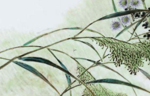 很拽很社會冷酷無情的女生個性網名