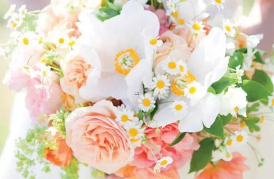 水瓶座男生和巨蟹座女生配對