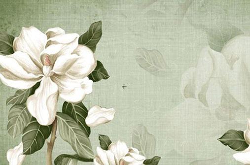 屬猴最好的婚姻 屬猴的今年婚姻怎樣