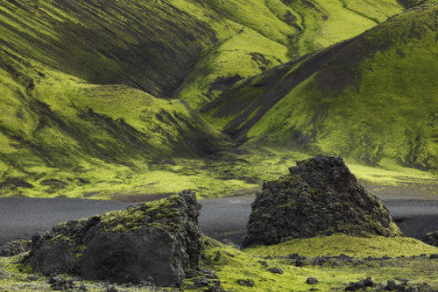 摩羯男和處女女合適嗎 摩羯和處女座在一起合適嗎