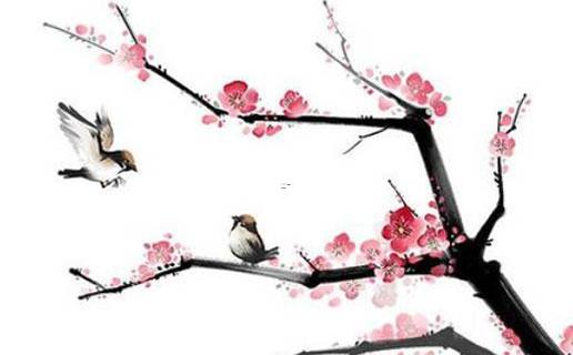 含米字旁女孩名字 含米字旁女孩名字