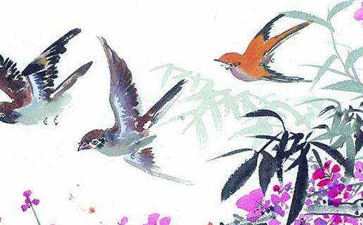 虎寶寶2022年名字女孩 虎寶寶2022年名字女孩