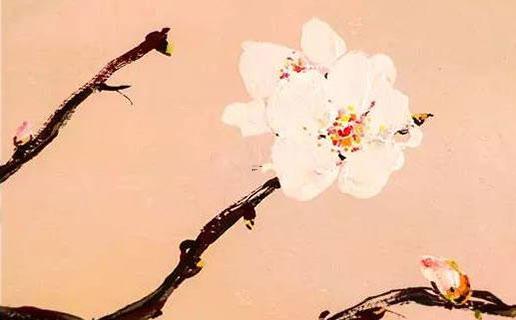 好聽的西米露名字 好聽的西米露名字