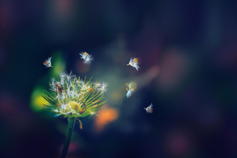 跟天秤男聊天的忌諱 天秤男忌諱女朋友什么