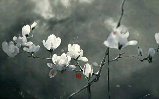 姓林的好聽(tīng)女孩名字