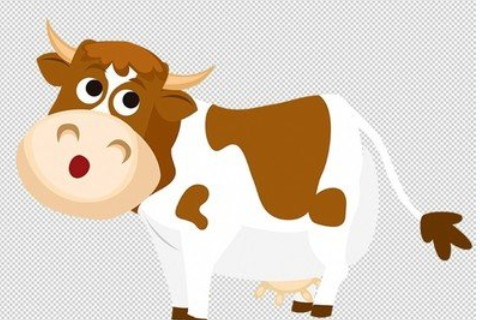 牛幾歲了2022?牛的幾歲結婚最好