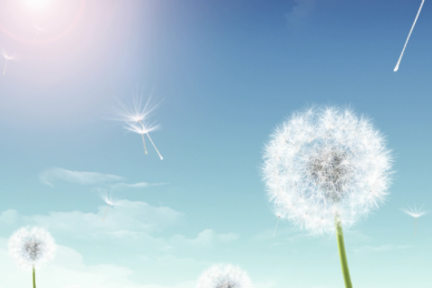 處女座是幾月份 處女座幾月份到幾月份