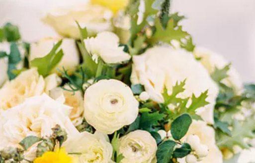 哪些星座會愛上金牛男