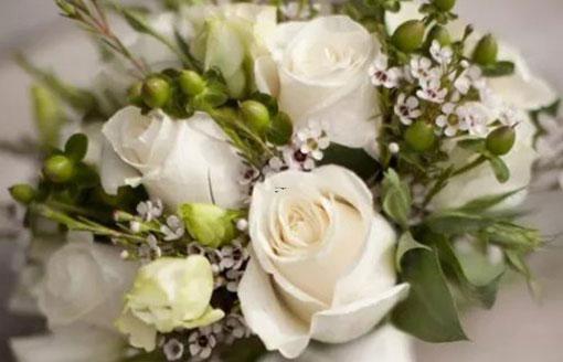 為自己活得星座女 為自己活得星座女