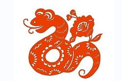 蛇和豬在一起對誰不好?蛇和豬屬相的人相處一起好嗎