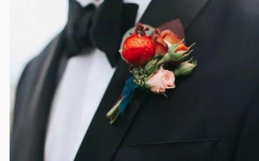 男處女座三區和女雙子座二區配對 男處女座三區和女雙子座二區配對