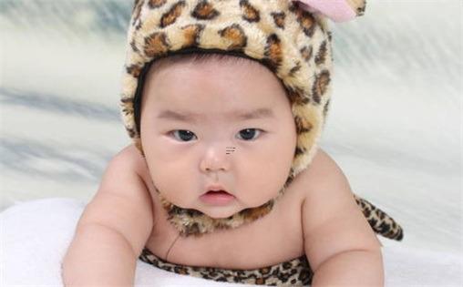 玩具店取名大全 稀奇獨特的店鋪名字 玩具店取名大全 稀奇獨特的店鋪名字