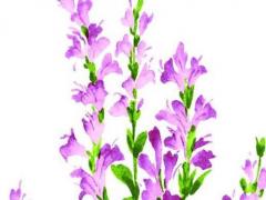 好聽的暖男名字大全