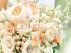 男獅子座三區(qū)和女天蝎座二區(qū)配對