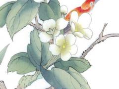 1996屬鼠人適合戴什么吊墜 1996年屬鼠戴什么吉祥物招財