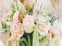 男處女座三區和女處女座三區配對