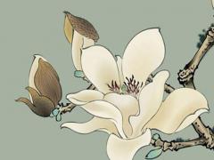 2023年屬鼠水瓶女運勢