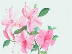 屬馬男生和屬鼠女生在一起合適嗎 屬馬男生和屬鼠女生相配嗎