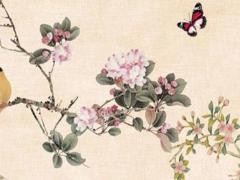 男屬馬女屬兔適合做夫妻嗎