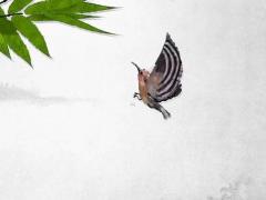 2023年1月16屬什么