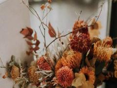 處女座和巨蟹座相配嗎 星座性格分析