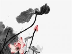 1999年屬兔男士一生幾段姻緣 1999年兔男婚姻和命運(yùn)最新