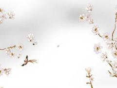 屬兔的人不宜養(yǎng)龜嗎 屬兔的人養(yǎng)龜好不好