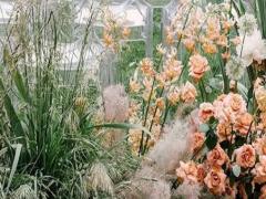 天蝎座女生和雙魚座男生做夫妻好不好