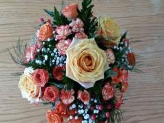 8月14日生日書,8月14日是什么星座:獅子座