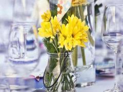 處女座女生和獅子座男生配對