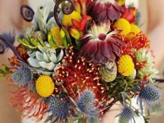 男摩羯座三區(qū)和女水瓶座三區(qū)配對(duì)