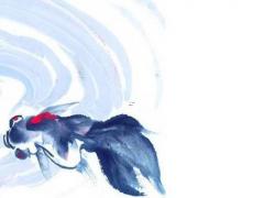 好聽一點的公金毛名字