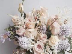 在春天里有哪些星座