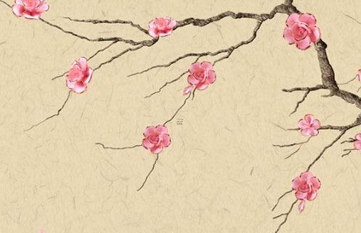 74歲屬猴的人壽命 今年54歲屬猴的命運(yùn)如何