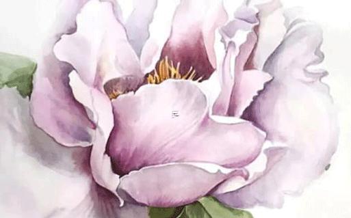 2023年女鼠紅鸞星動，2023年女鼠人運程1984