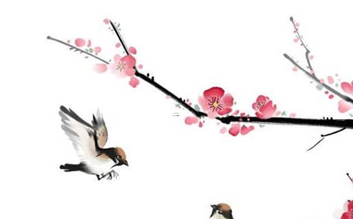 2023年屬馬女桃花多嗎 2023年屬馬女桃花多嗎