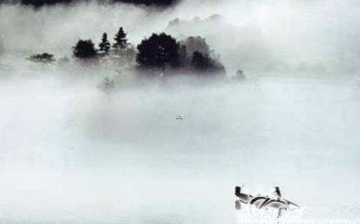 屬豬男屬虎女要什么屬相寶寶