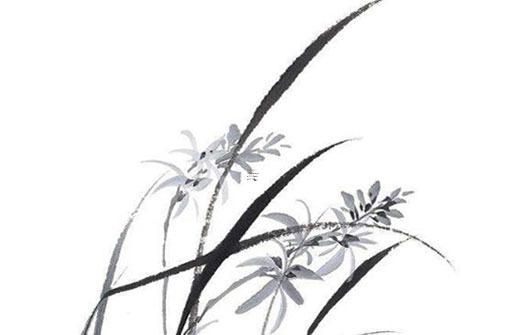 1968年屬猴女的壽命有多長,1968年的猴女在2023年怎么樣 1968年屬猴女的壽命有多長,1968年的猴女在2023年怎么樣