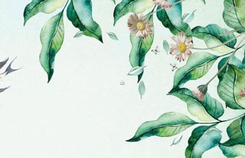 屬龍與虎合作生意好不好,屬龍跟屬虎做生意好嗎 屬龍與虎合作生意好不好,屬龍跟屬虎做生意好嗎