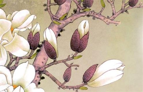 八字中兩壽是什么意思 兩命是什么意思 八字中兩壽是什么意思 兩命是什么意思