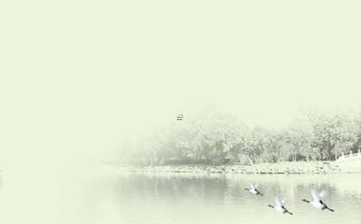 屬兔男姻緣在哪里 屬兔人的最佳姻緣與配對 屬兔男姻緣在哪里 屬兔人的最佳姻緣與配對