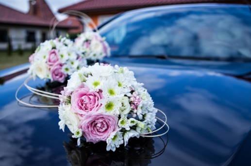 落固定星座特多